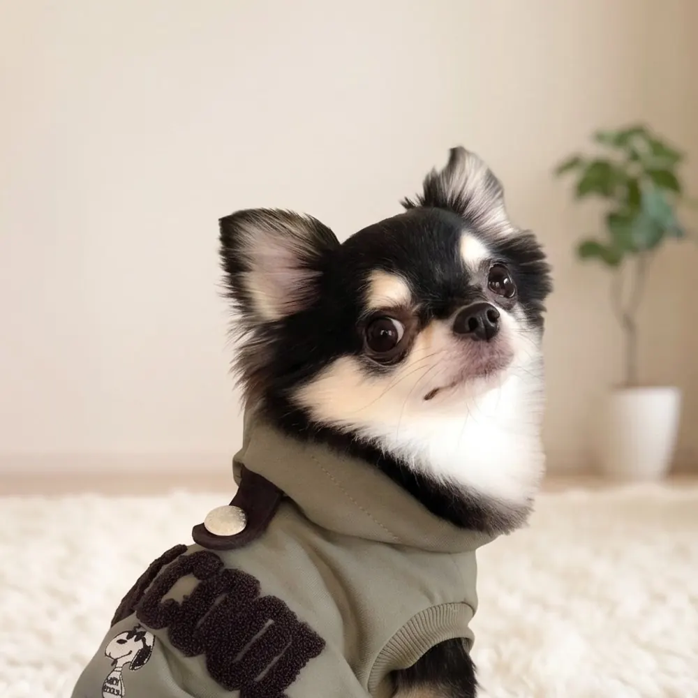 アダム
